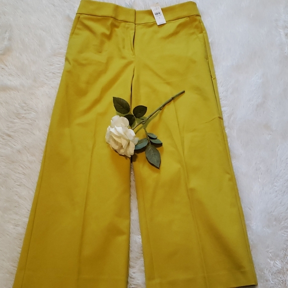 New Loft Crop Pants - Picture 3 of 3